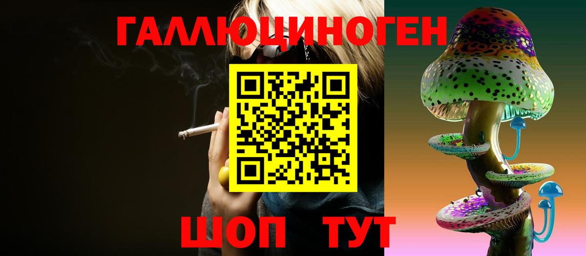 Псилоцибиновые грибы Cubensis Азнакаево